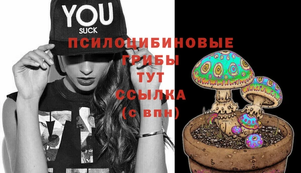 экстази Пестово