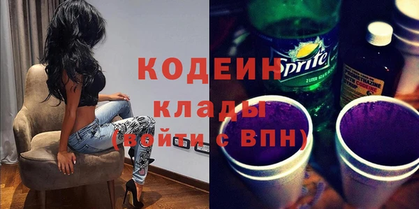 мдпв Пересвет