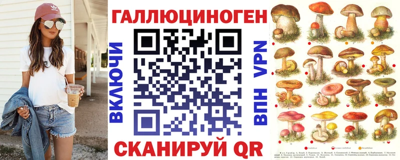 Галлюциногенные грибы Psilocybine cubensis Ильский