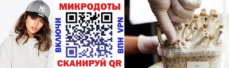 Псилоцибиновые грибы Psilocybine cubensis  Ильский 
